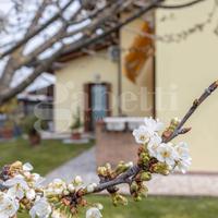 Villa singola Morsano al Tagliamento [512VRG]