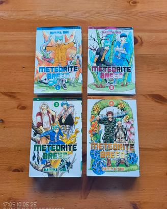 Manga numeri 1-2-3-4 collezione completa 