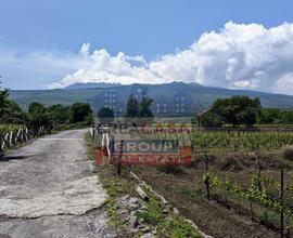 Terreno Agricolo - Castiglione di Sicilia