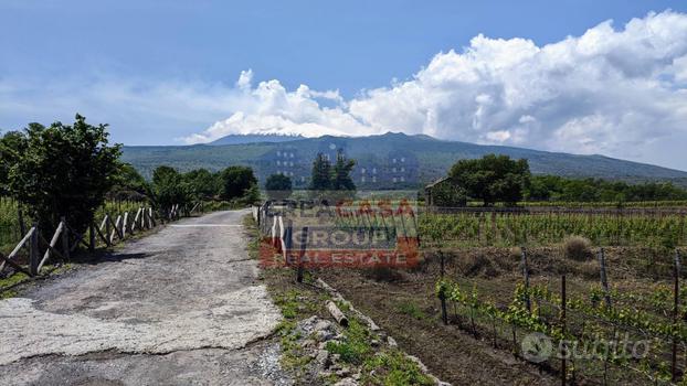 Terreno Agricolo - Castiglione di Sicilia