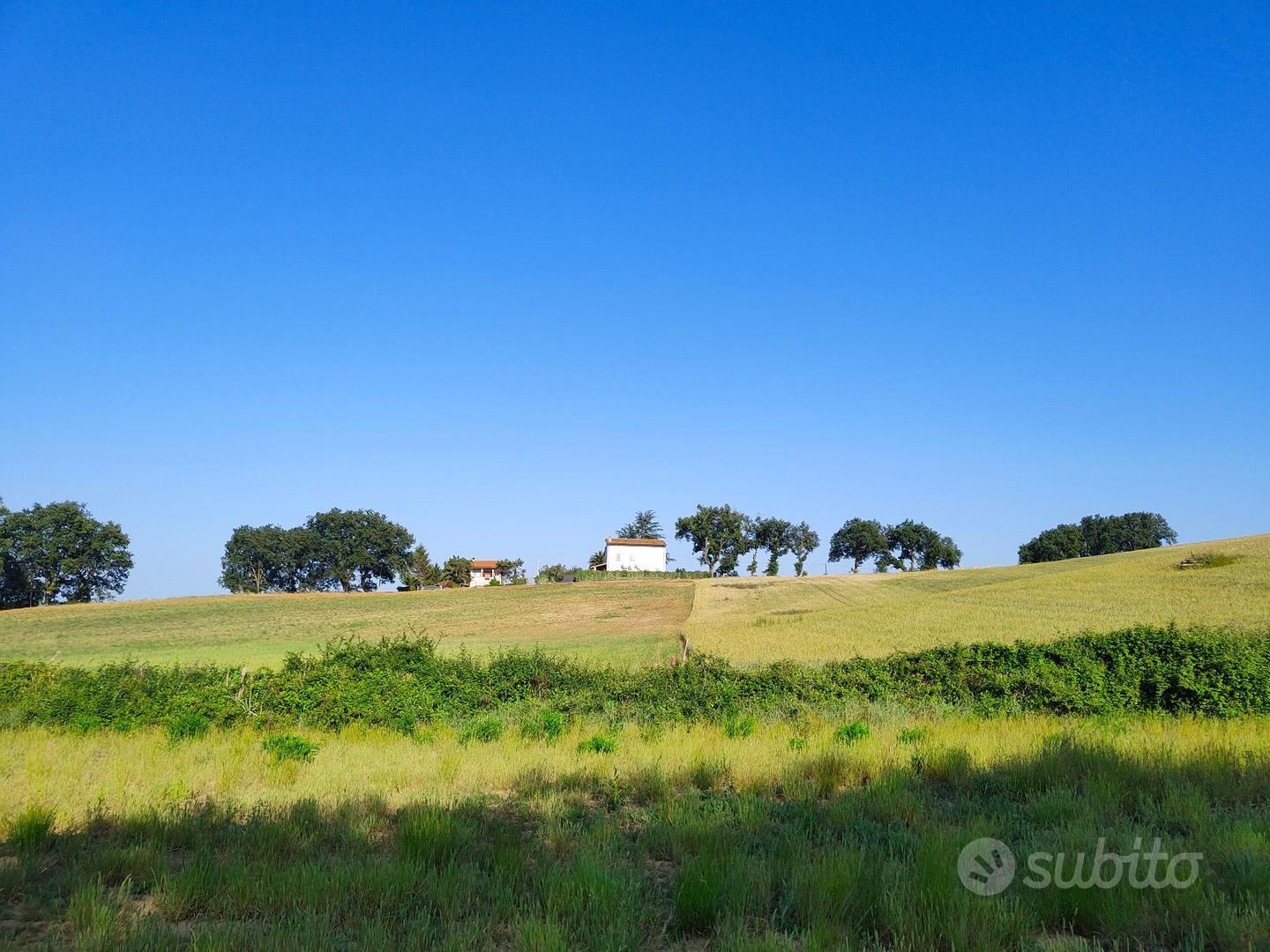 Terreno di circa 8 ettari agricoli irrigui - Vista 4