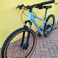 Focus Whistler 3.7 Ruote 29" Taglia S