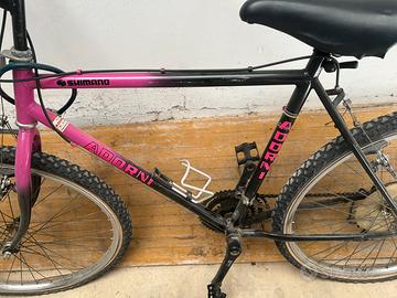 Mountain bike