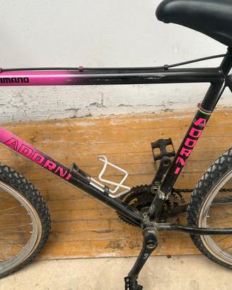 Mountain bike