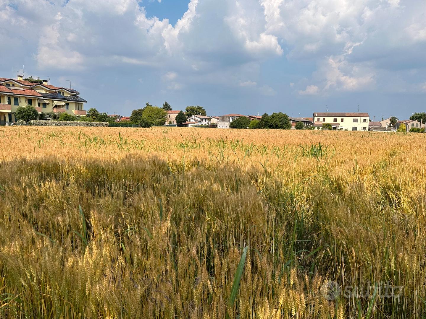 Terreno agricolo cartura cagnola - Vista 5