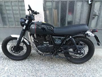 Brixton Cromwel 250