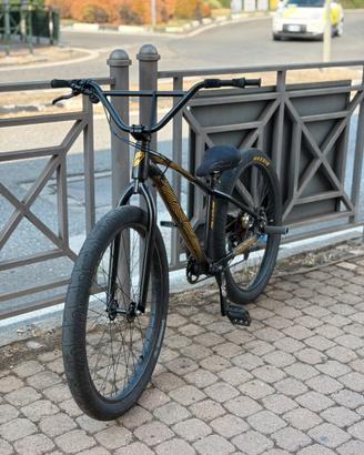 collective x1