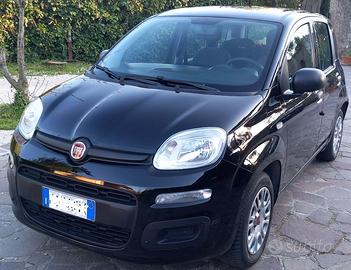 PANDA 2018 GPL CASA MADRE