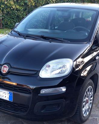 PANDA 2018 GPL CASA MADRE