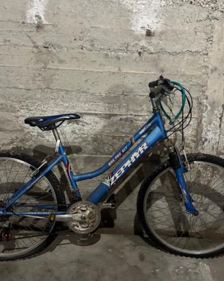 Bici da ragazza