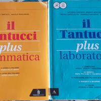 IL TANTUCCI plus grammatica + laboratorio 1