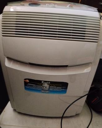pinguino de Longhi 