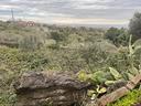 terreno-edificabile-ad-aci-catena