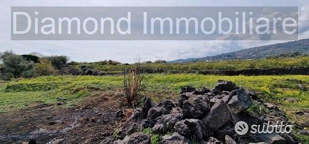 Terreno pianeggiante 6.500 mq con fabbricati - Vista 4