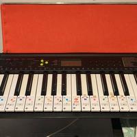 Tastiera Casio 49 tasti e custodia