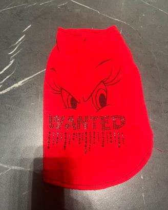 Vestiti cane piccola taglia