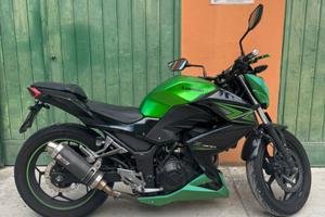 Kawasaki Z300