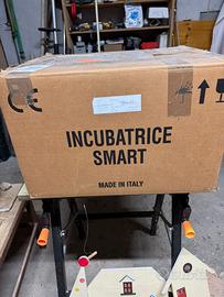 Incubatrice