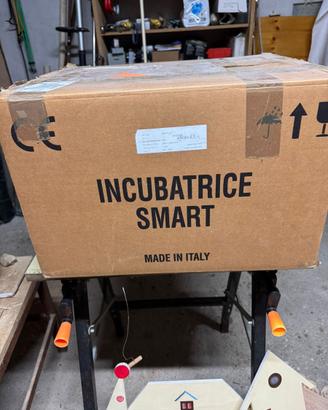 Incubatrice