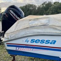 Sessa Marine Con Mercury 40cv Pro (motore Del