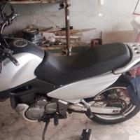 Suzuki XF Freewind 650 - 2020