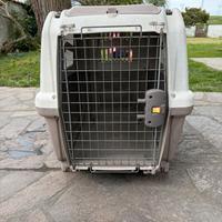 Trasportino per cane!