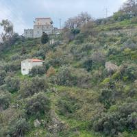 Terreno Agricolo Alì