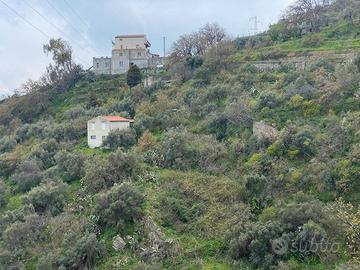 Terreno Agricolo Alì
