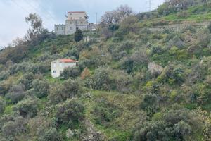 Terreno Agricolo Alì