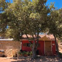 In campagna vicino al mare