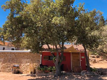 In campagna vicino al mare