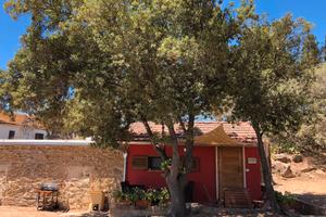 In campagna vicino al mare