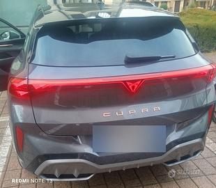 Cupra terramar 204cv
