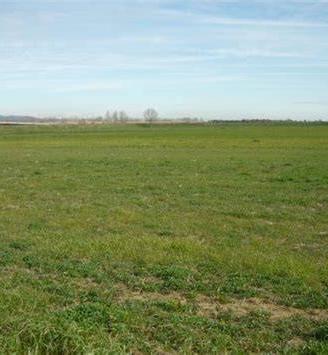 Terreno di 118000 m² a San Bassano