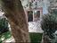 Immagine 12