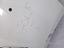 Immagine 11