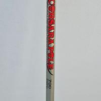 Canna da pesca fissa 7m