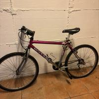 Bicicletta Maverik