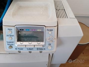 fotoceramica 