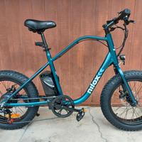 Fat bike