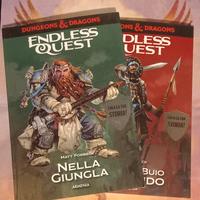 Endless quest - Dungeon & dragons.