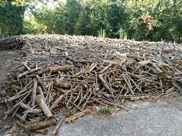 Legna di nocciolo da ardere