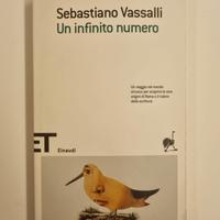 Sebastiano Vassalli - Un infinito numero