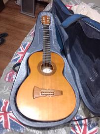 chitarra  professionale 