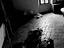 Immagine 16