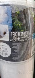 telo termo clima 