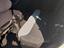 Immagine 12