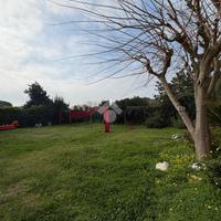 TER. AGRICOLO A NAPOLI