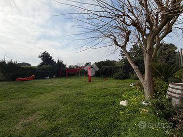 TER. AGRICOLO A NAPOLI