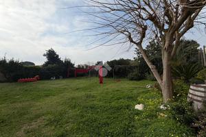 TER. AGRICOLO A NAPOLI